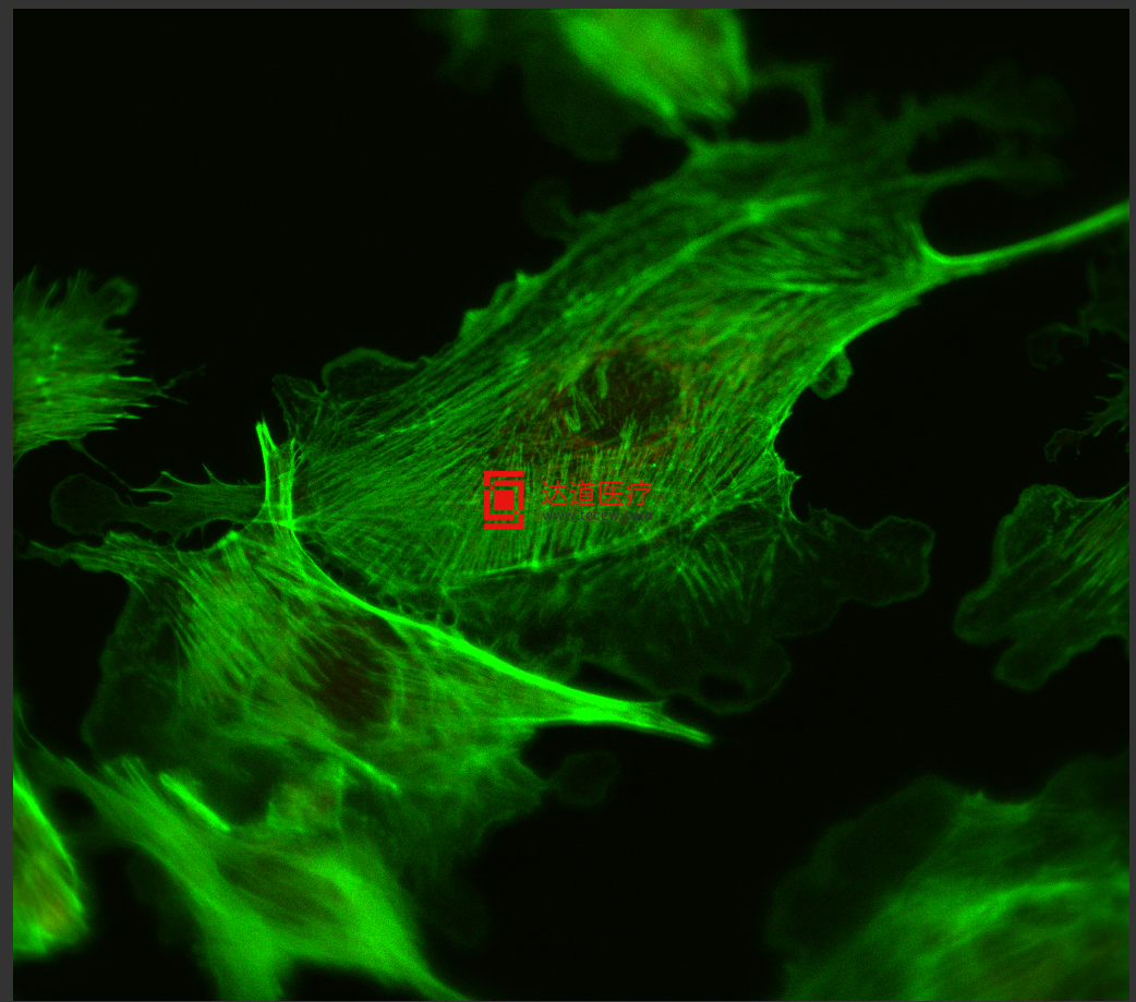 圖片關(guān)鍵詞